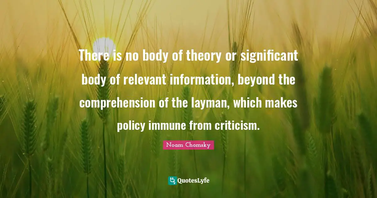 There is no body of theory or significant body of relevant information, beyond the comprehension of the layman, which makes policy immune from criticism.