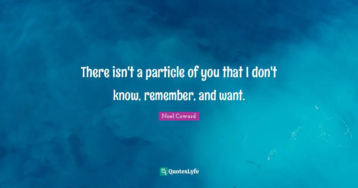 There isn't a particle of you that I don't know, remember, and want.