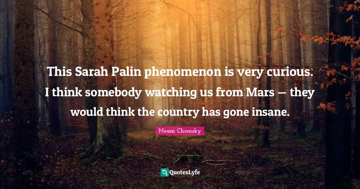 This Sarah Palin phenomenon is very curious. I think somebody watching us from Mars — they would think the country has gone insane.