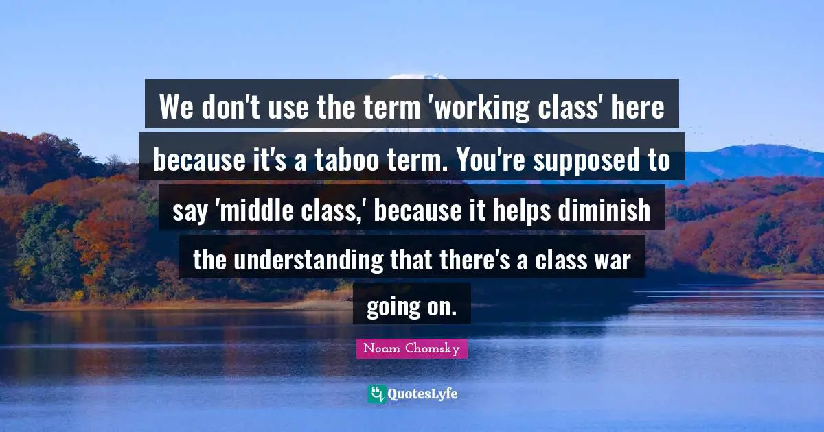 Diminish Quotes: "We don't use the term 'working class' here because it's a taboo term. You're supposed to say 'middle class,' because it helps diminish the understanding that there's a class war going on."