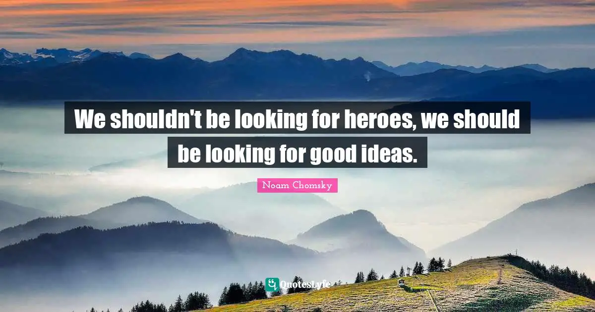 We shouldn't be looking for heroes, we should be looking for good ideas.