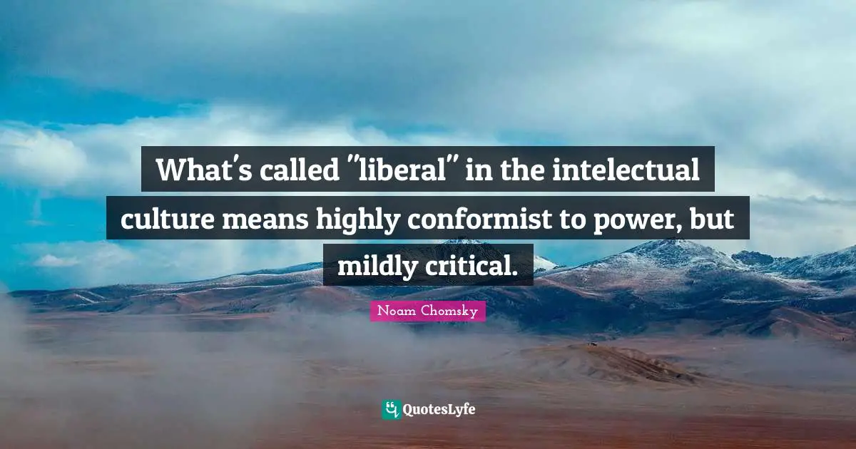 What's called "liberal" in the intelectual culture means highly conformist to power, but mildly critical.