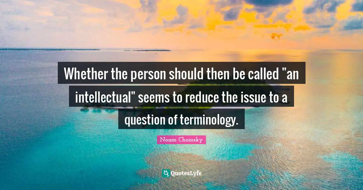 Whether the person should then be called "an intellectual" seems to reduce the issue to a question of terminology.