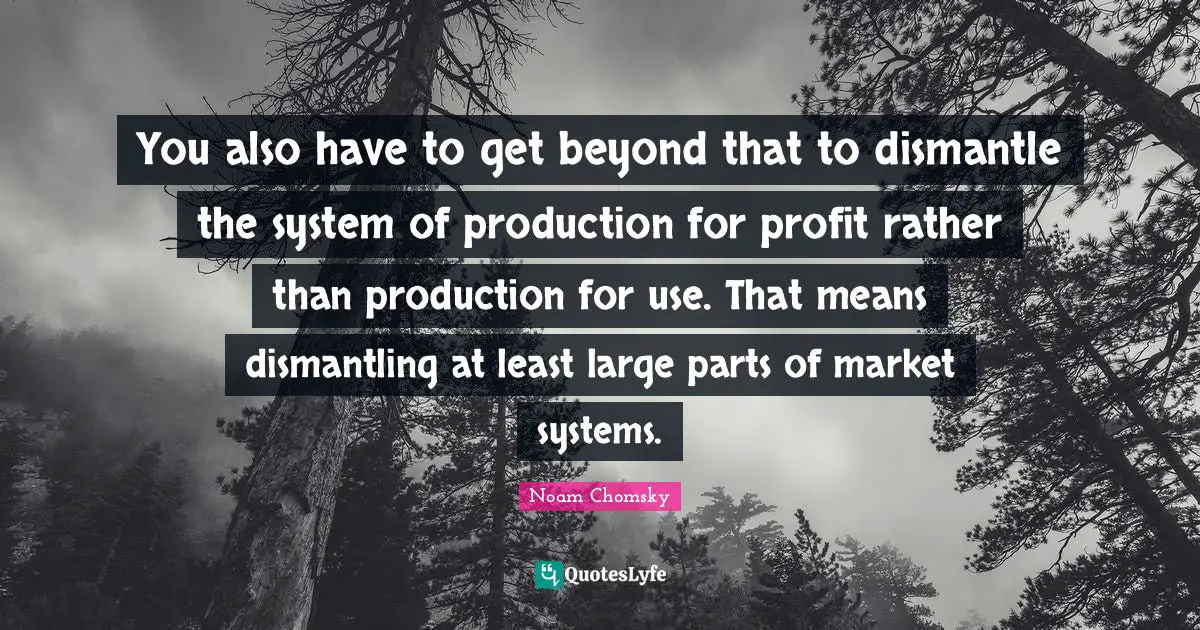 You also have to get beyond that to dismantle the system of production for profit rather than production for use. That means dismantling at least large parts of market systems.
