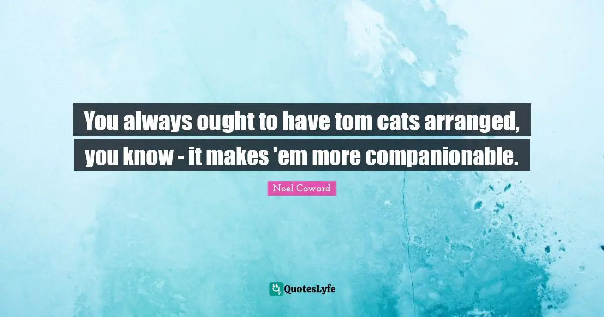 You always ought to have tom cats arranged, you know - it makes 'em more companionable.
