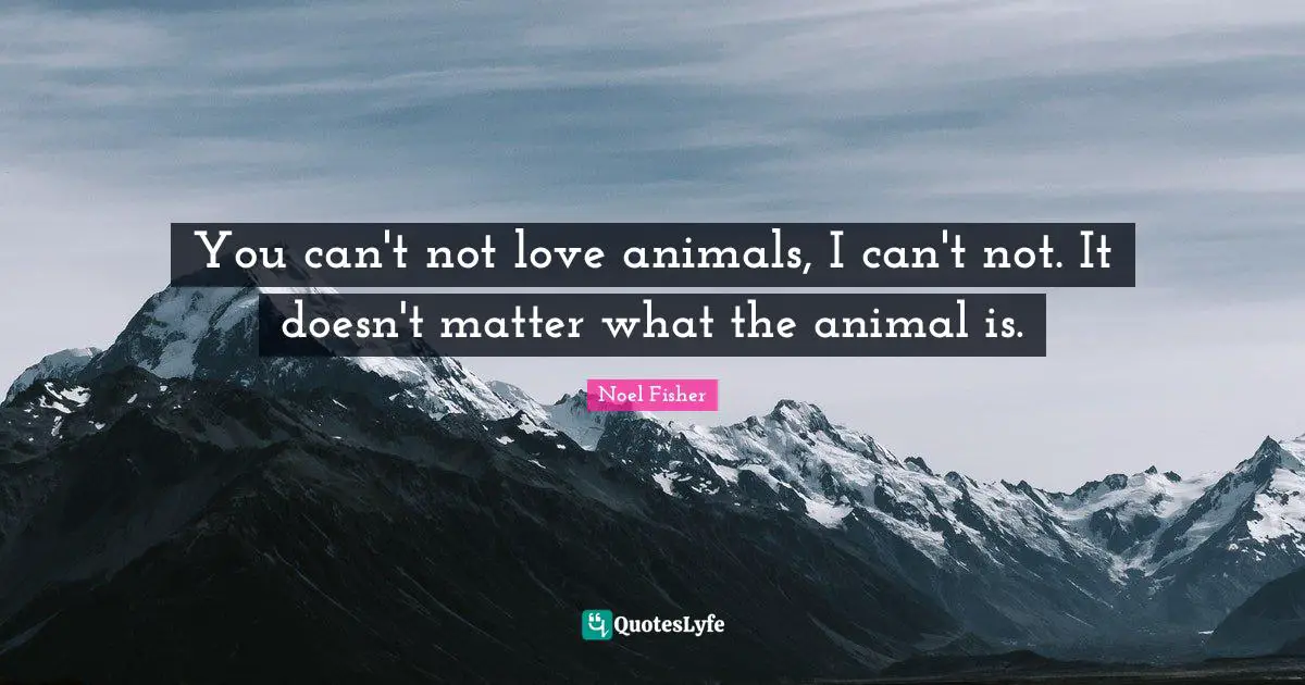 You can't not love animals, I can't not. It doesn't matter what the animal is.