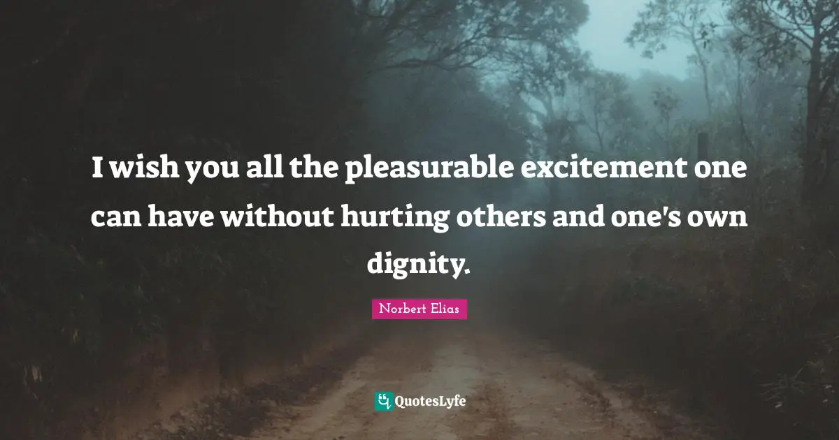 Wish You Quotes: "I wish you all the pleasurable excitement one can have without hurting others and one's own dignity."