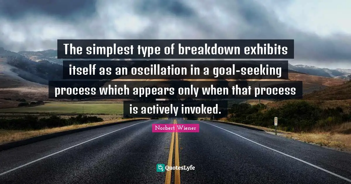 The simplest type of breakdown exhibits itself as an oscillation in a goal-seeking process which appears only when that process is actively invoked.