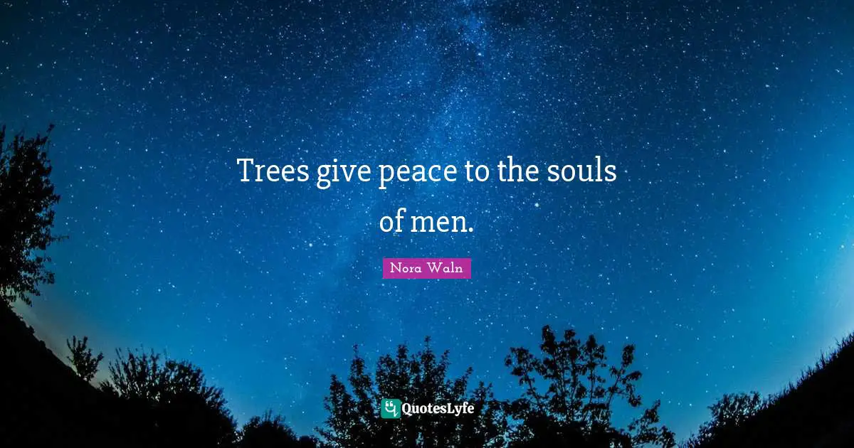 Trees give peace to the souls of men.