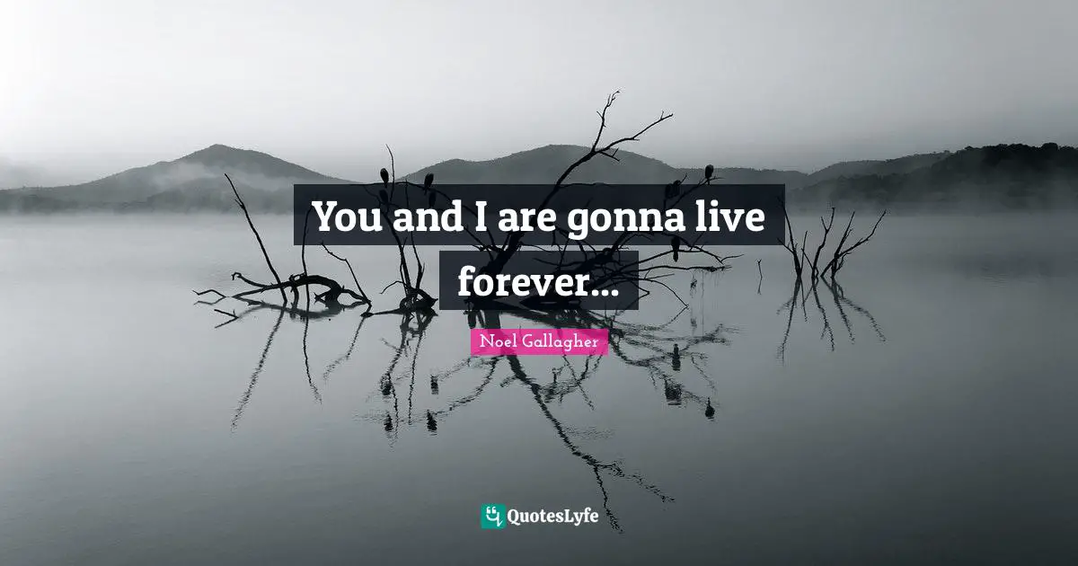Noel Gallagher Quotes: "You and I are gonna live forever..."