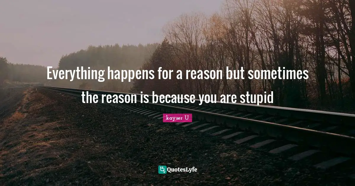 Everything happens for a reason but sometimes the reason is because you are stupid