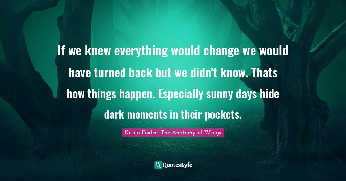 If we knew everything would change we would have turned back but we didn't know. Thats how things happen. Especially sunny days hide dark moments in their pockets.