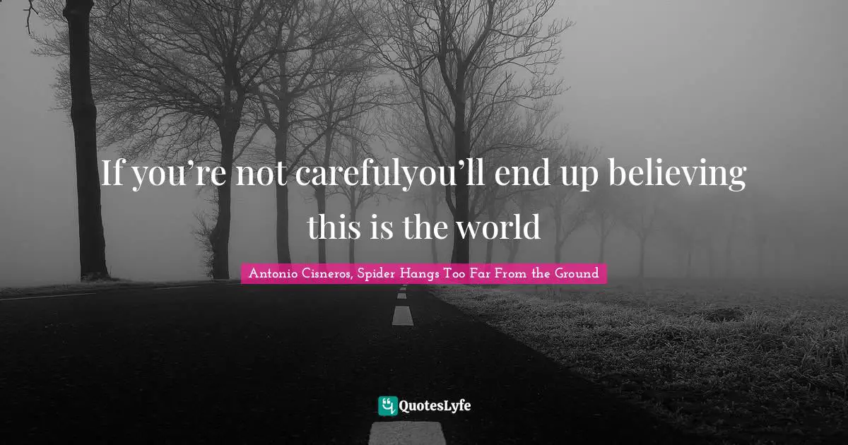 If you’re not carefulyou’ll end up believing this is the world