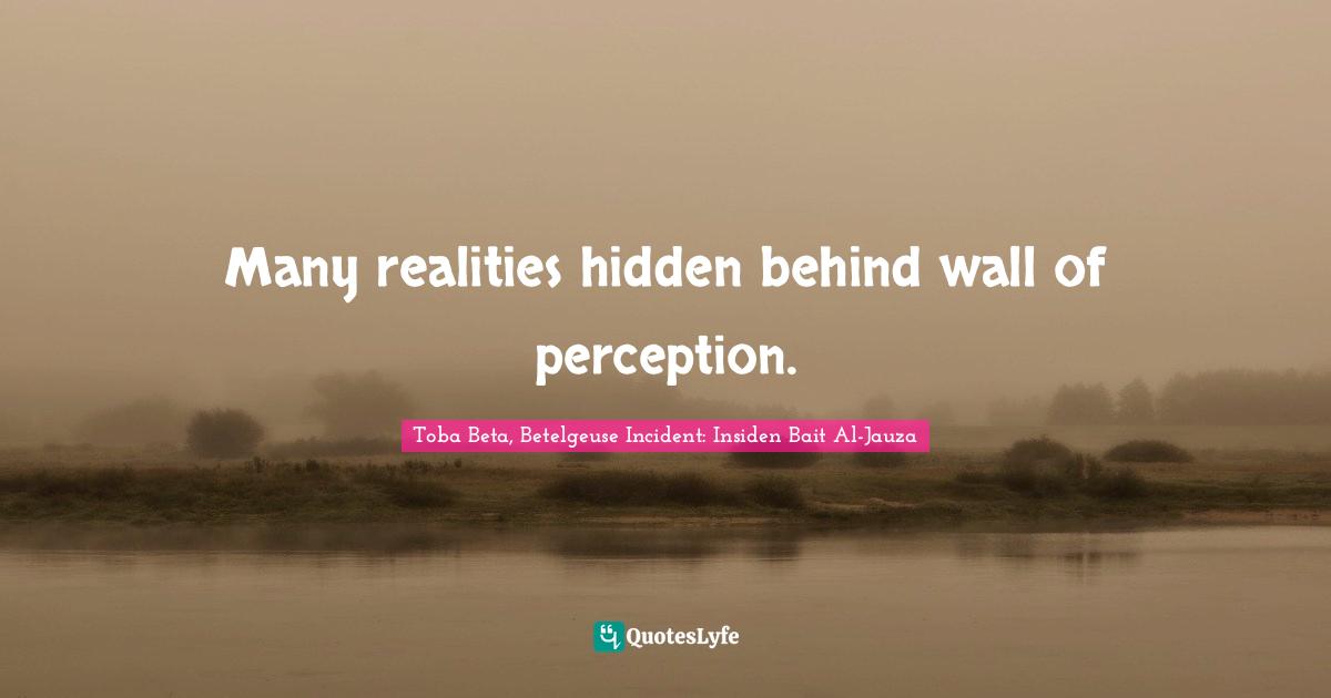 Many realities hidden behind wall of perception.