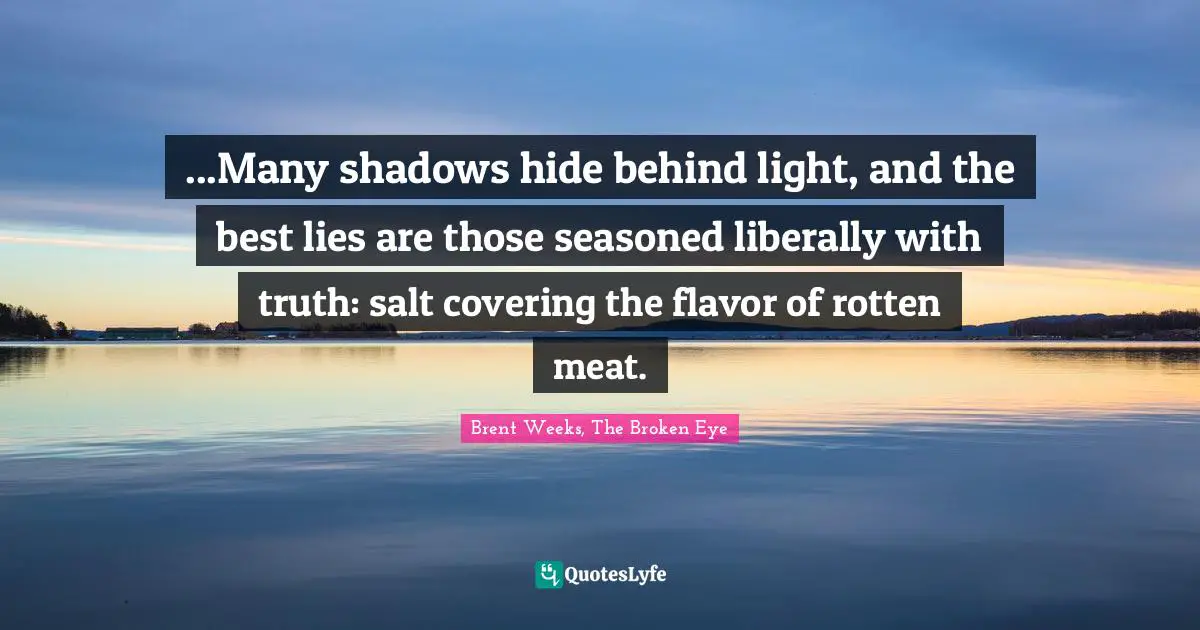 ...Many shadows hide behind light, and the best lies are those seasoned liberally with truth: salt covering the flavor of rotten meat.