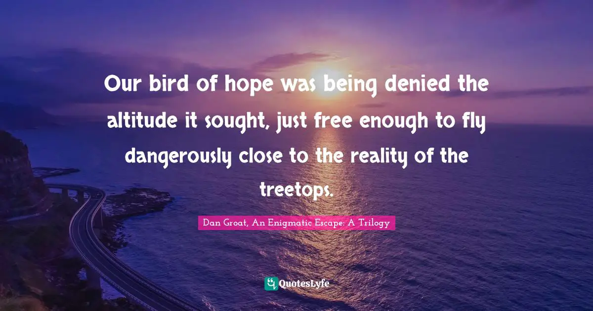 Our bird of hope was being denied the altitude it sought, just free enough to fly dangerously close to the reality of the treetops.
