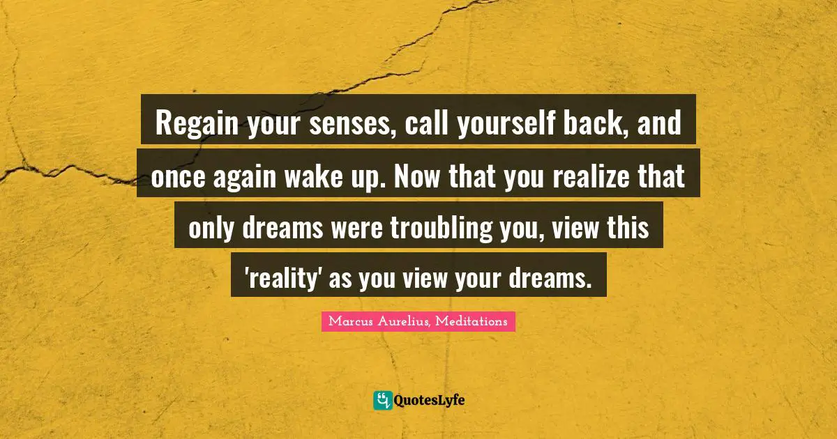 Regain your senses, call yourself back, and once again wake up. Now that you realize that only dreams were troubling you, view this 'reality' as you view your dreams.