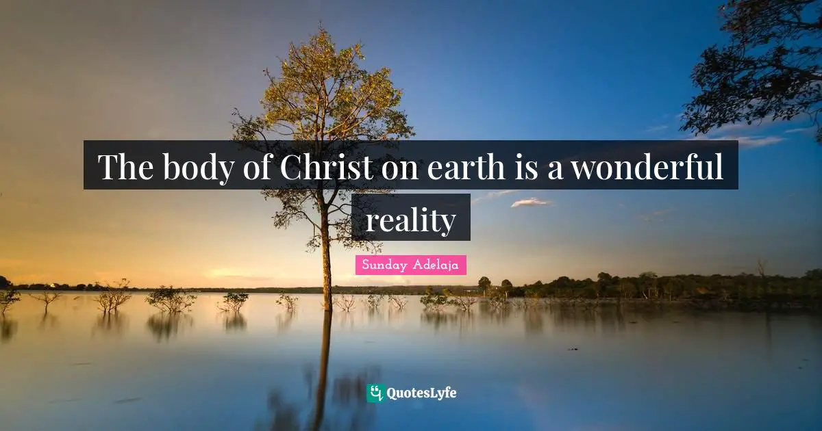 The body of Christ on earth is a wonderful reality