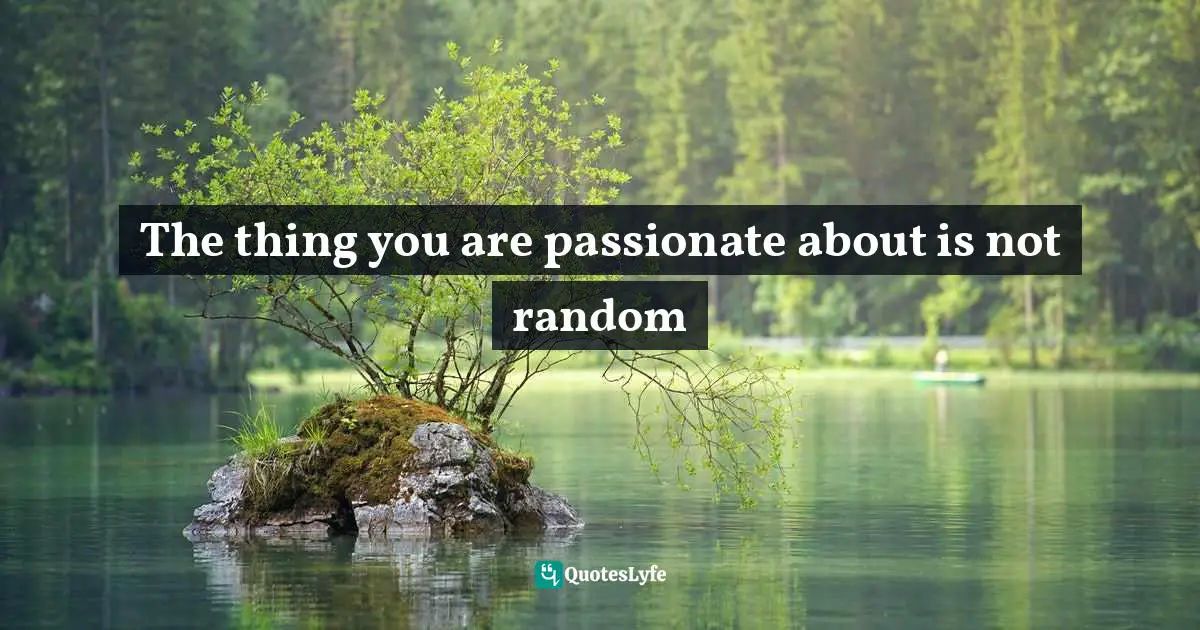 The thing you are passionate about is not random