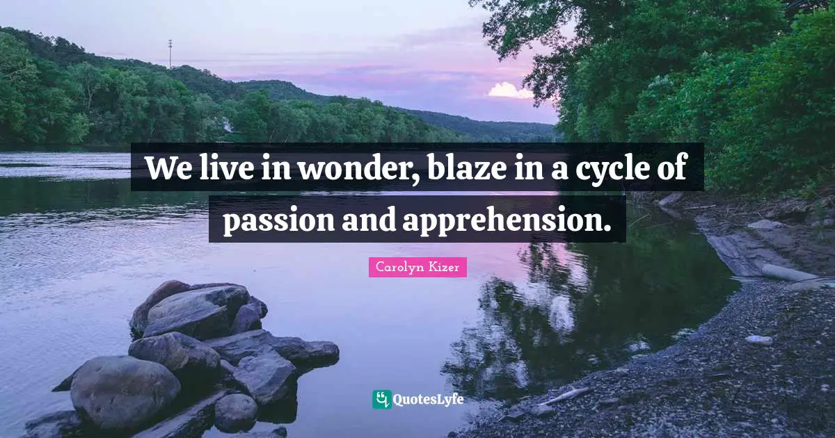 We live in wonder, blaze in a cycle of passion and apprehension.