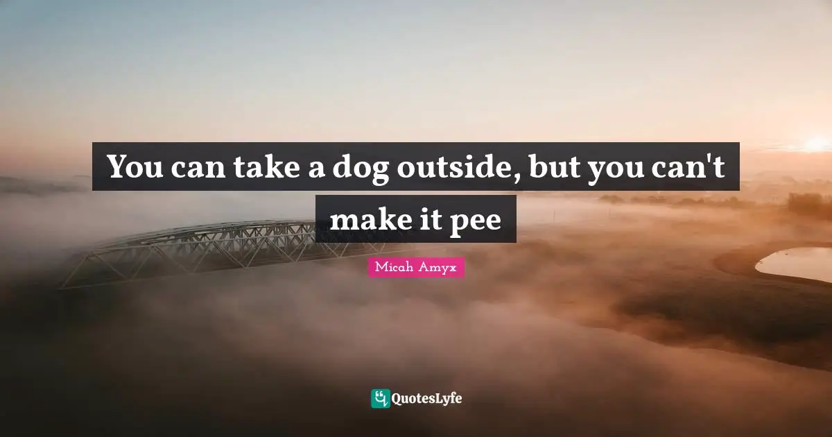 You can take a dog outside, but you can't make it pee