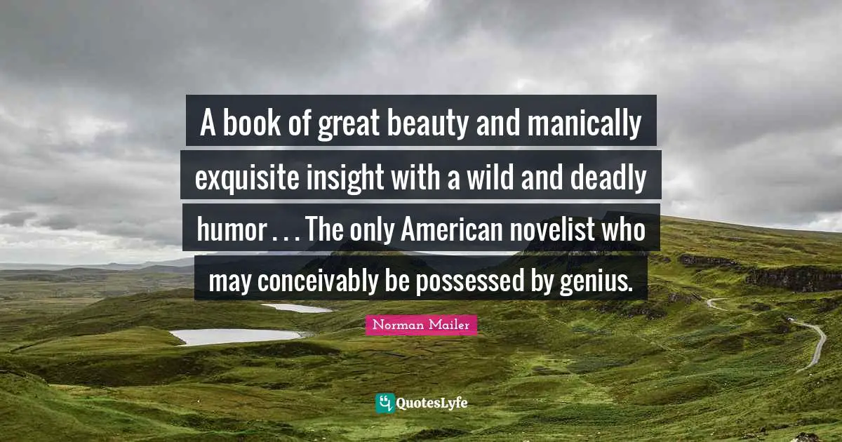 A book of great beauty and manically exquisite insight with a wild and deadly humor . . . The only American novelist who may conceivably be possessed by genius.