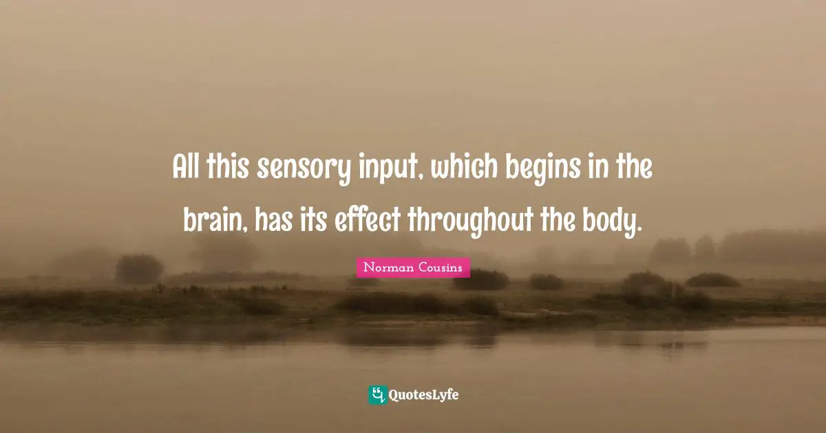 All this sensory input, which begins in the brain, has its effect throughout the body.