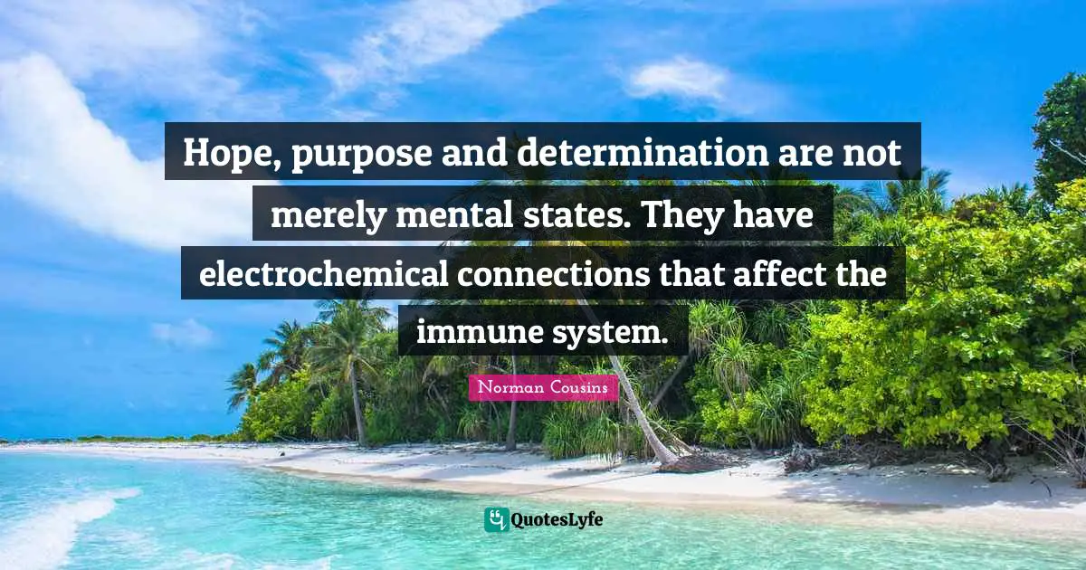Hope, purpose and determination are not merely mental states. They have electrochemical connections that affect the immune system.