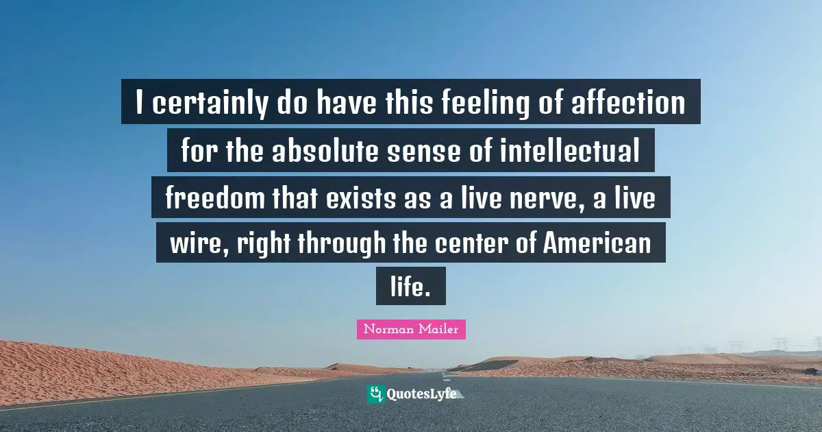 I certainly do have this feeling of affection for the absolute sense of intellectual freedom that exists as a live nerve, a live wire, right through the center of American life.