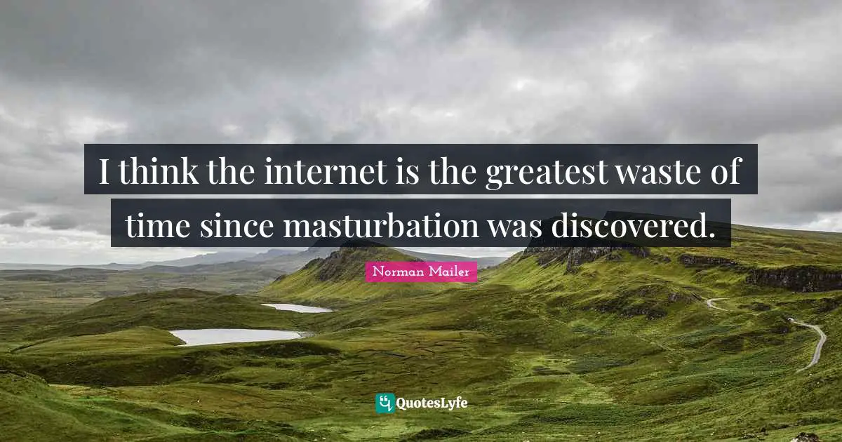 I think the internet is the greatest waste of time since masturbation was discovered.