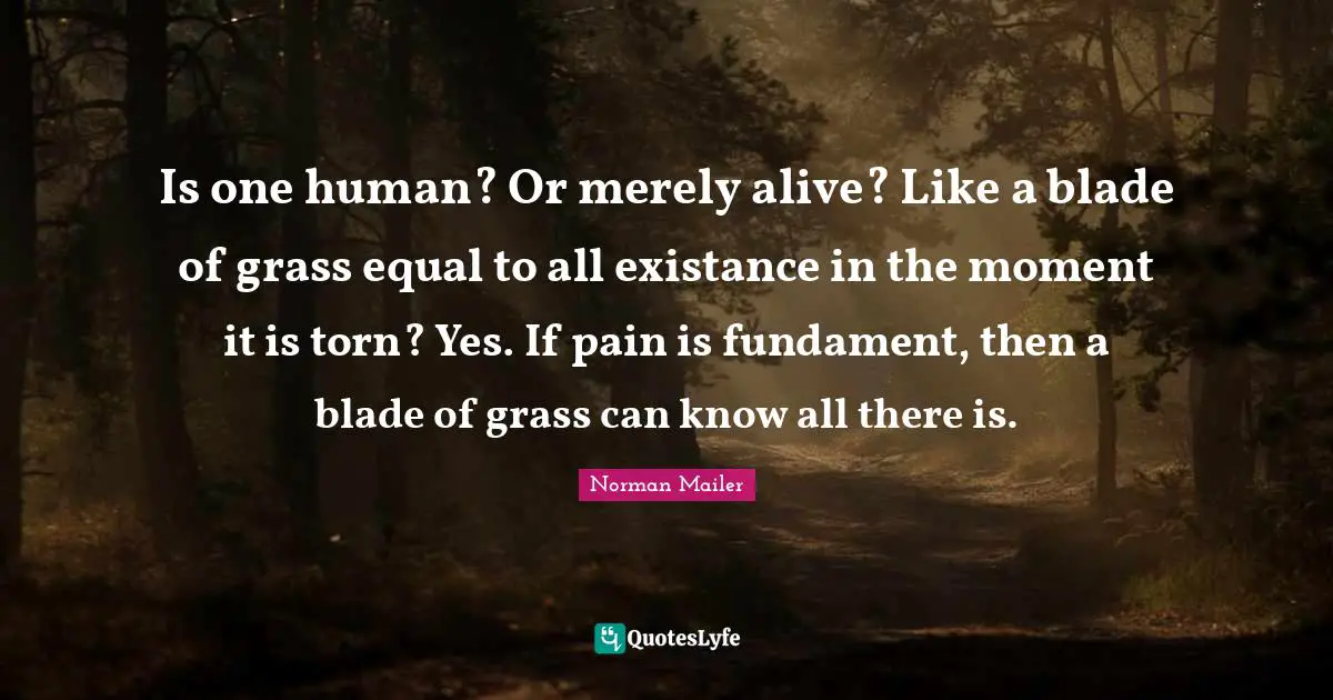 Is one human? Or merely alive? Like a blade of grass equal to all existance in the moment it is torn? Yes. If pain is fundament, then a blade of grass can know all there is.