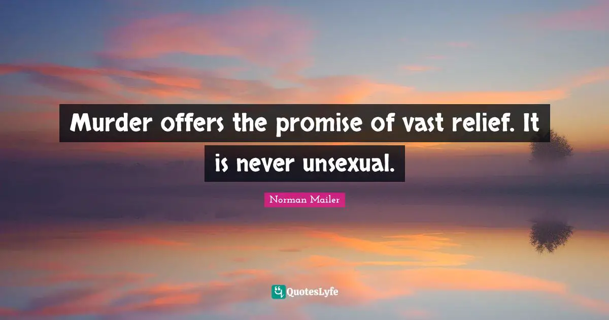 Murder offers the promise of vast relief. It is never unsexual.