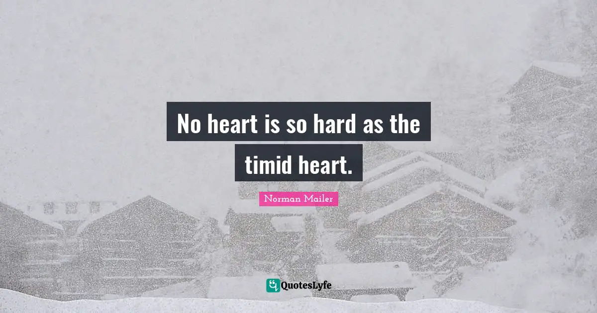 No heart is so hard as the timid heart.