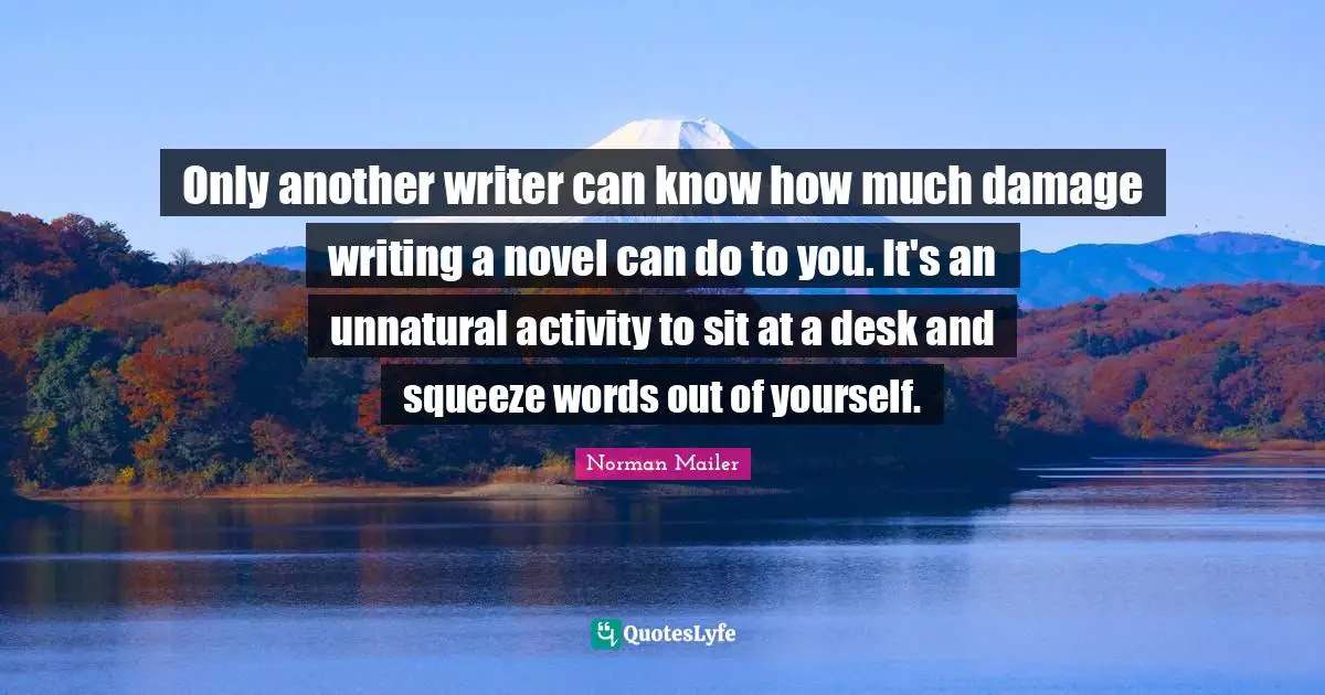 Only another writer can know how much damage writing a novel can do to you. It's an unnatural activity to sit at a desk and squeeze words out of yourself.
