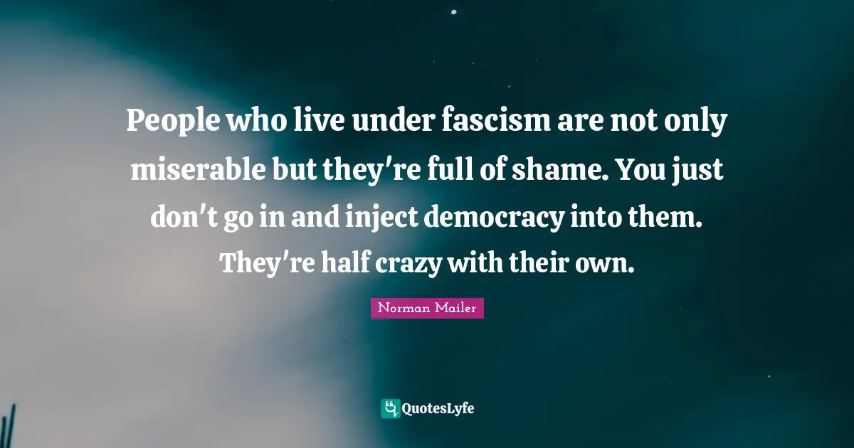 People who live under fascism are not only miserable but they're full of shame. You just don't go in and inject democracy into them. They're half crazy with their own.