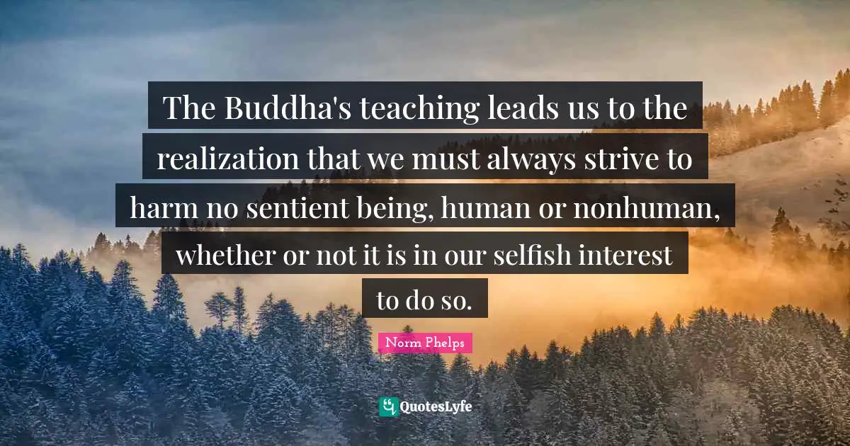The Buddha's teaching leads us to the realization that we must always strive to harm no sentient being, human or nonhuman, whether or not it is in our selfish interest to do so.
