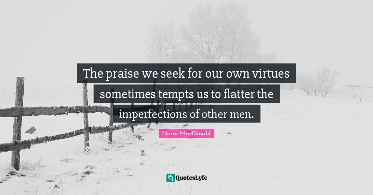The praise we seek for our own virtues sometimes tempts us to flatter the imperfections of other men.