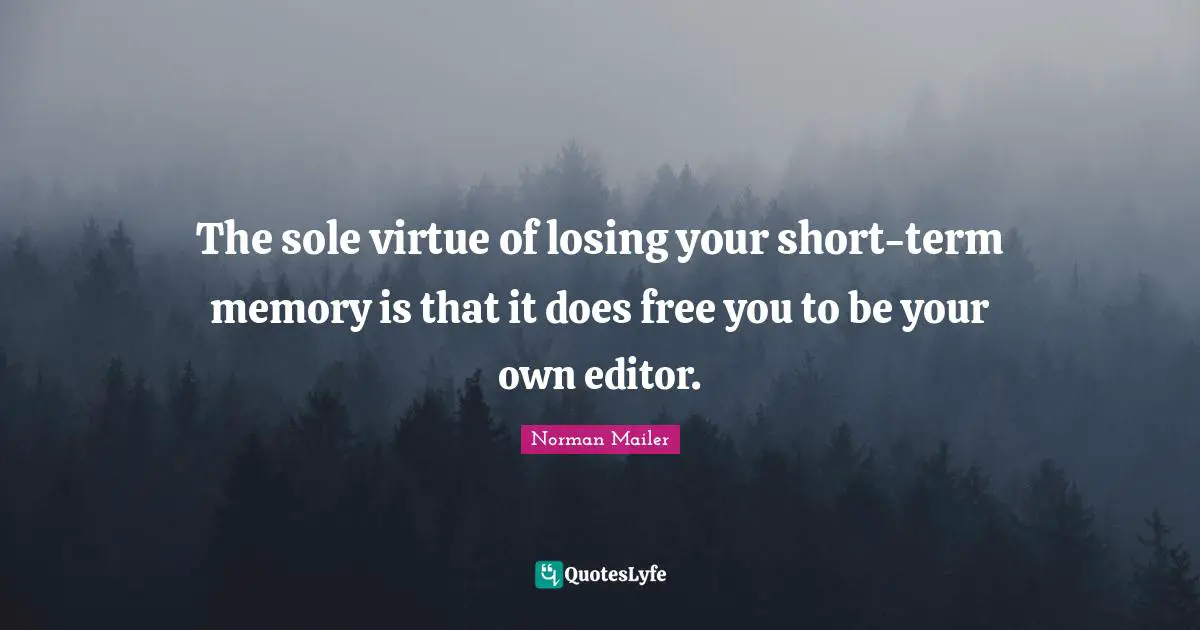 The sole virtue of losing your short-term memory is that it does free you to be your own editor.