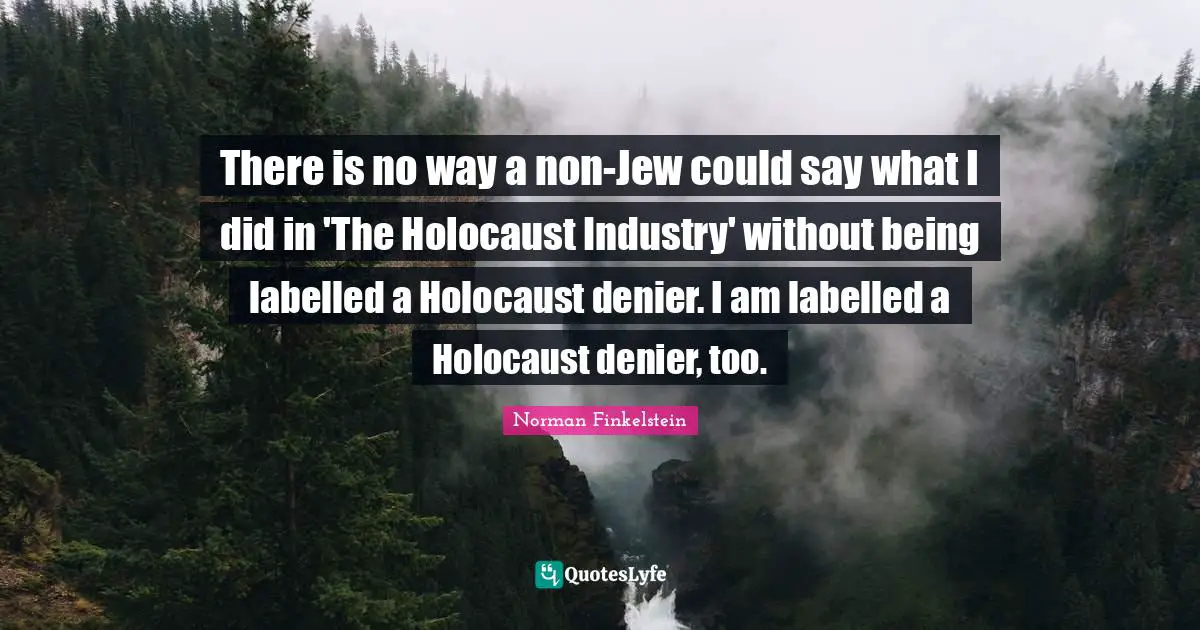 Norman Finkelstein Quotes: "There is no way a non-Jew could say what I did in 'The Holocaust Industry' without being labelled a Holocaust denier. I am labelled a Holocaust denier, too."