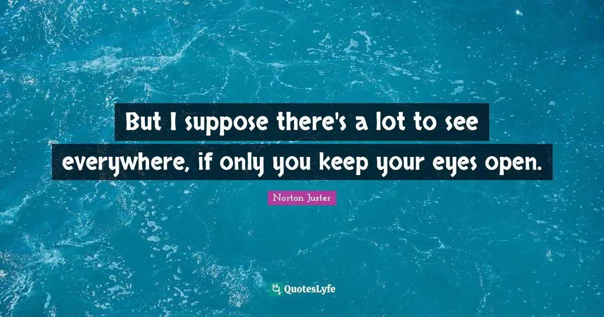 But I suppose there's a lot to see everywhere, if only you keep your eyes open.