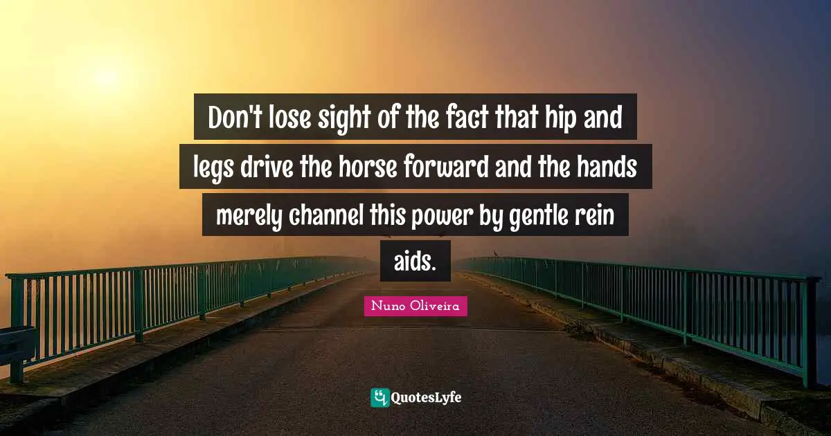 Don't lose sight of the fact that hip and legs drive the horse forward and the hands merely channel this power by gentle rein aids.