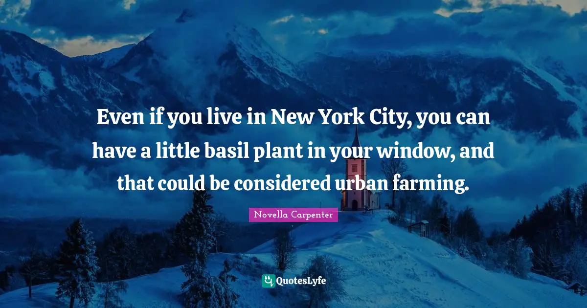 Basil Quotes: "Even if you live in New York City, you can have a little basil plant in your window, and that could be considered urban farming."