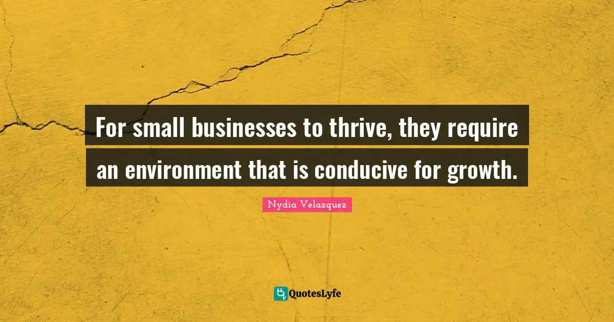Small Business Quotes: "For small businesses to thrive, they require an environment that is conducive for growth."