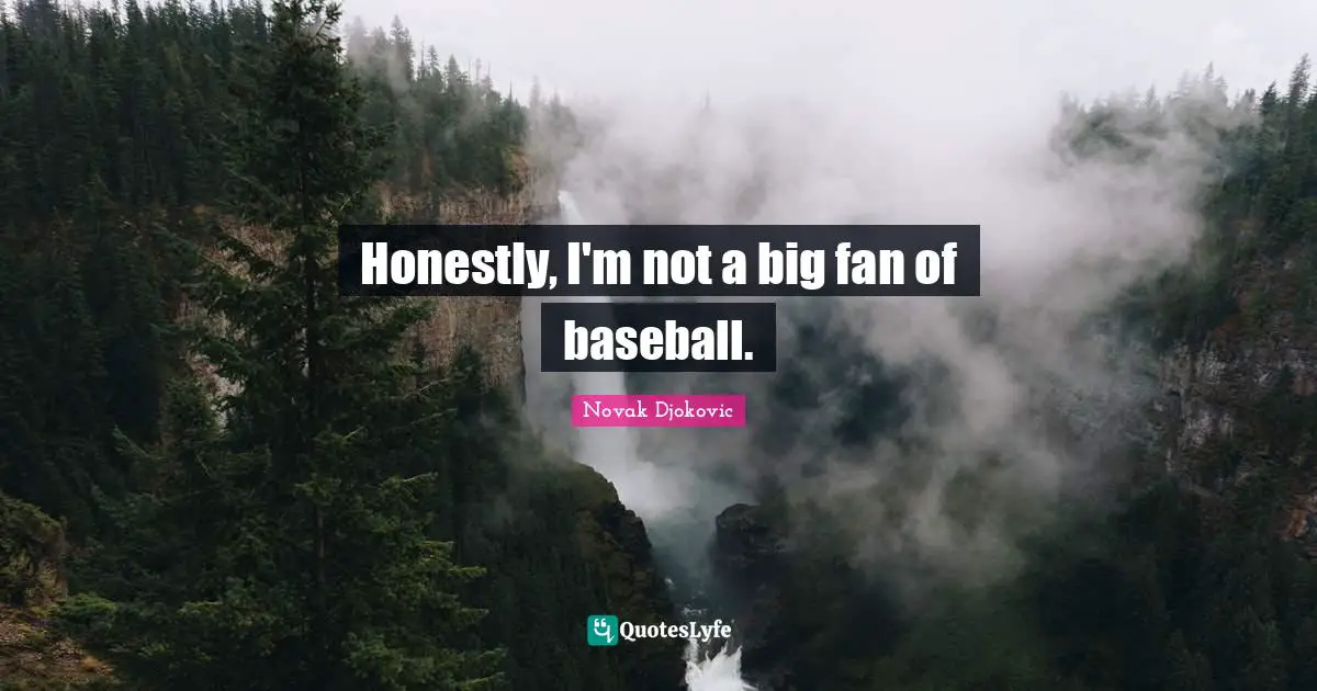 Honestly, I'm not a big fan of baseball.