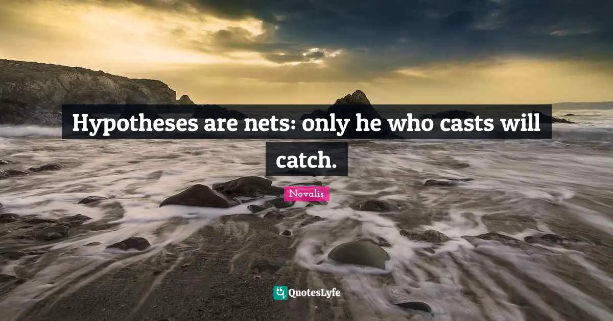 Hypotheses are nets: only he who casts will catch.