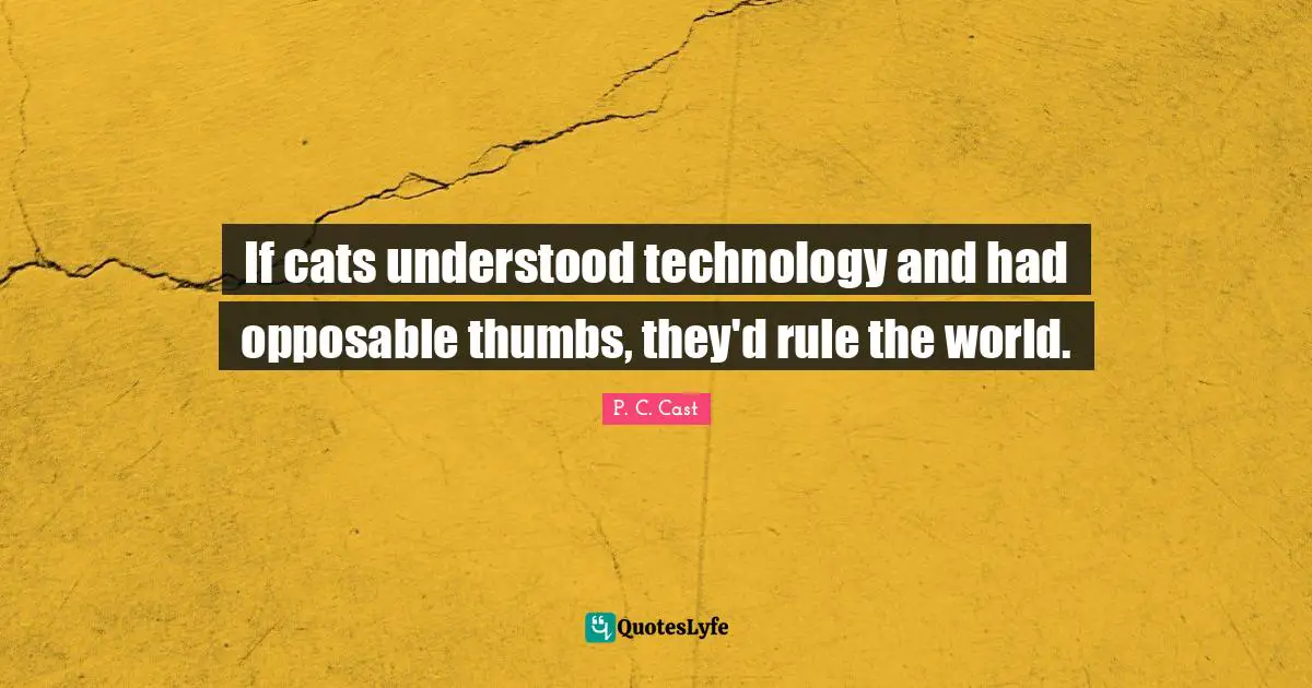 If cats understood technology and had opposable thumbs, they'd rule the world.