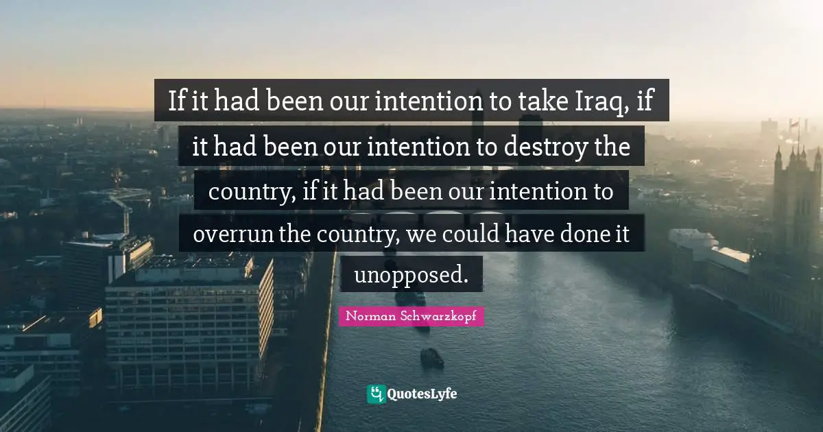 If it had been our intention to take Iraq, if it had been our intention to destroy the country, if it had been our intention to overrun the country, we could have done it unopposed.