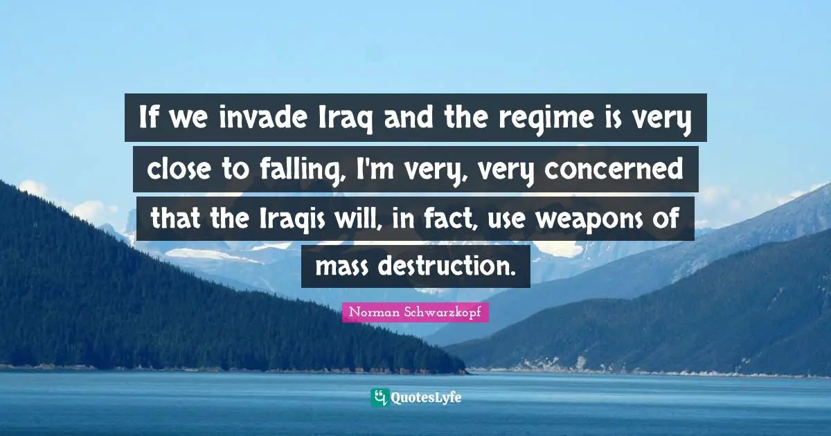 If we invade Iraq and the regime is very close to falling, I'm very, very concerned that the Iraqis will, in fact, use weapons of mass destruction.