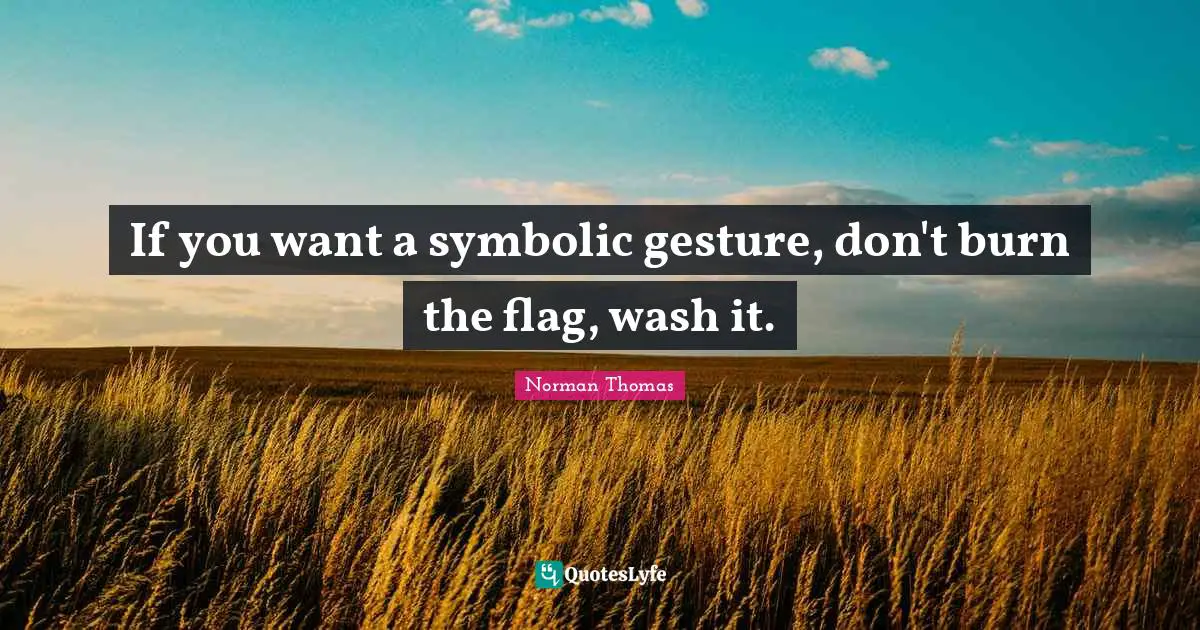 If you want a symbolic gesture, don't burn the flag, wash it.