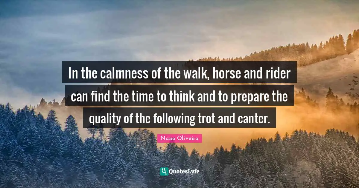 Calmness Quotes: "In the calmness of the walk, horse and rider can find the time to think and to prepare the quality of the following trot and canter."